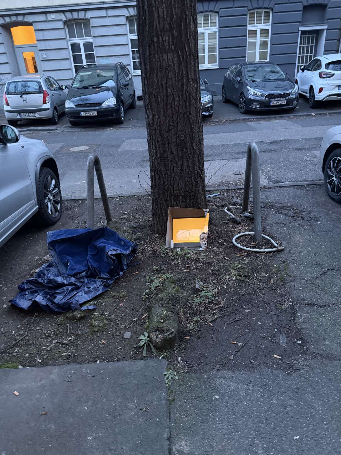 Bild zu gemeldetem Anliegen vom *2026-01-20 15:32:30