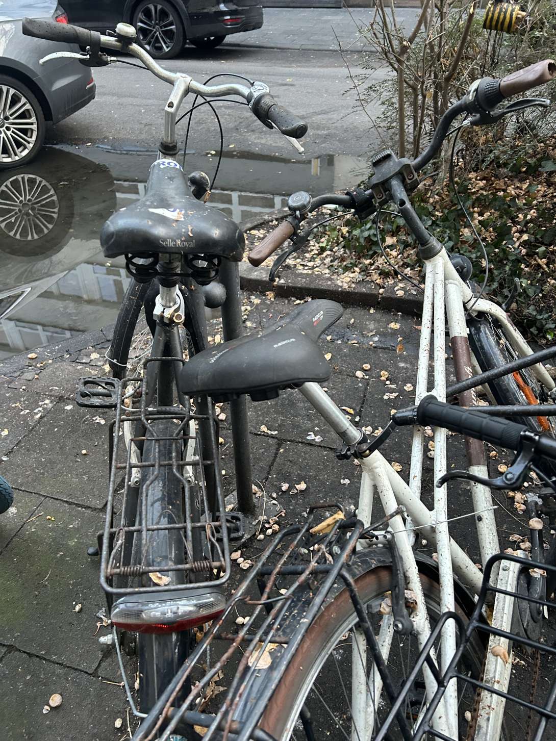 Bild zu gemeldetem Anliegen vom *2026-01-16 08:56:23