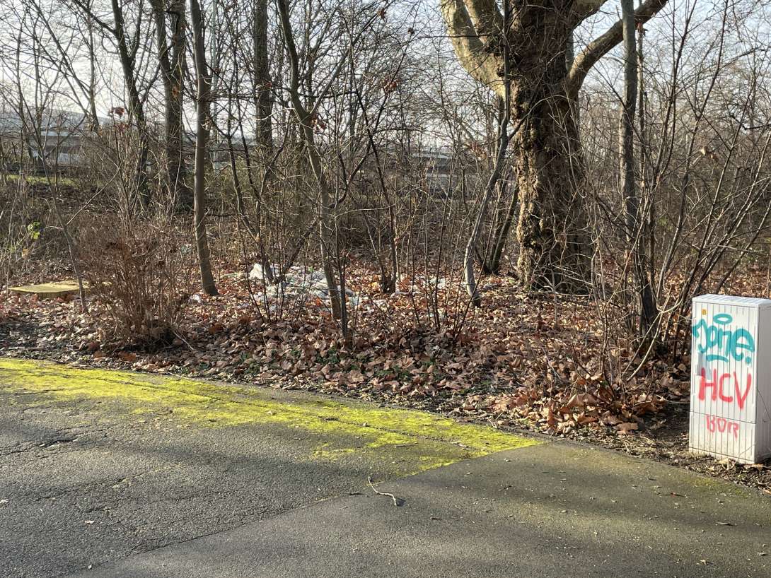 Bild zu gemeldetem Anliegen vom *2026-01-20 15:47:33