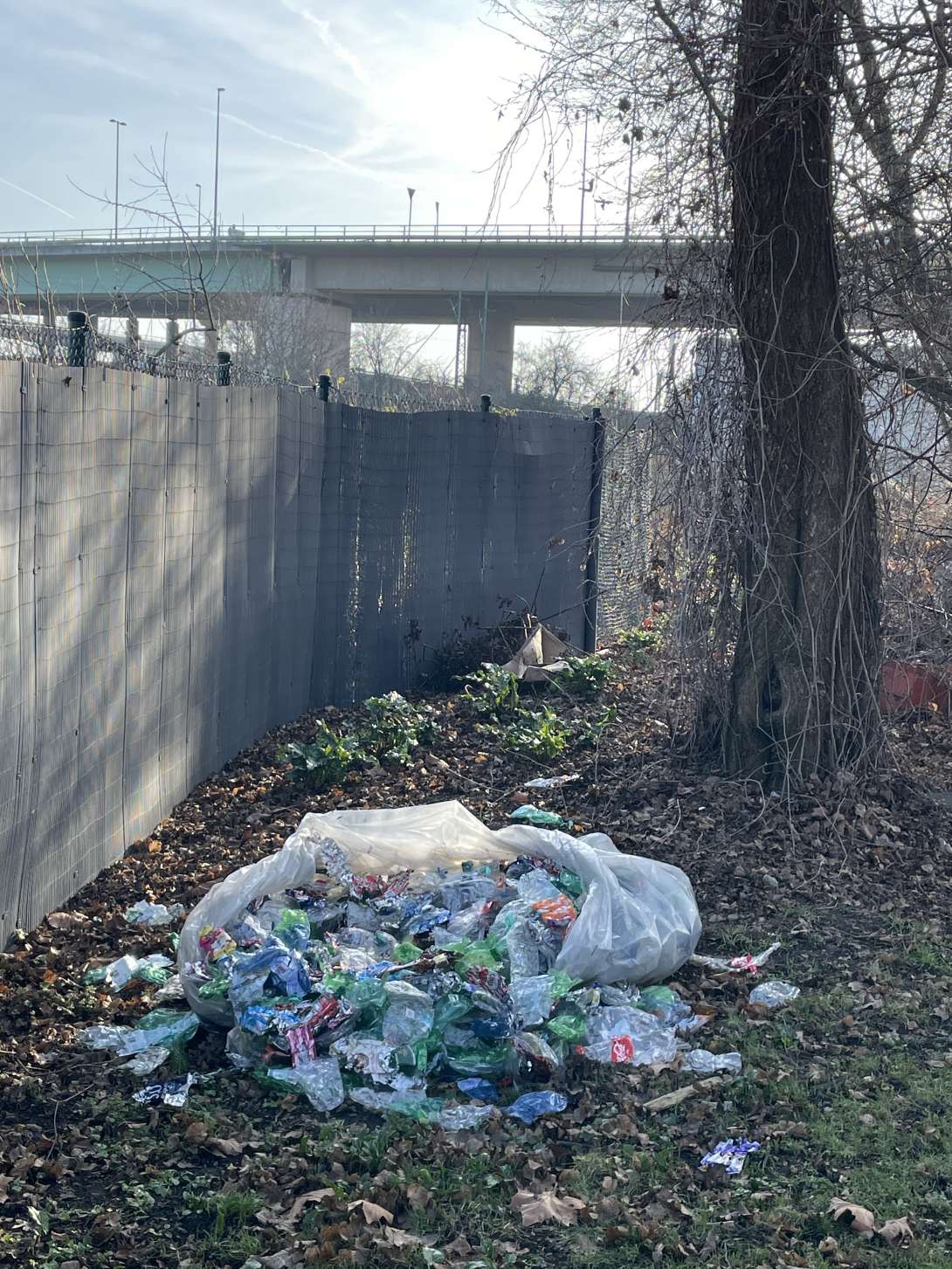 Bild zu gemeldetem Anliegen vom *2026-01-20 15:45:04