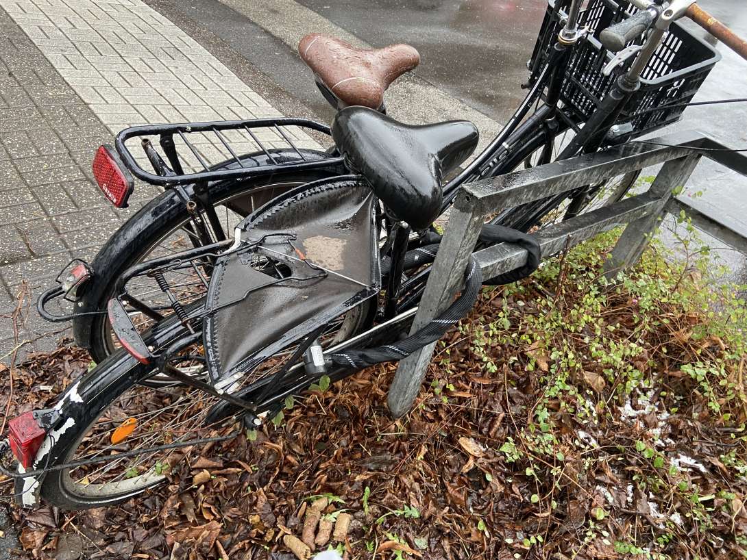 Bild zu gemeldetem Anliegen vom *2026-01-13 22:09:05