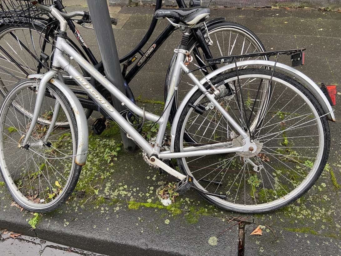 Bild zu gemeldetem Anliegen vom *2026-01-13 22:05:48