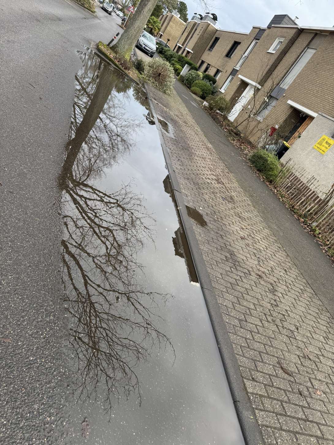 Bild zu gemeldetem Anliegen vom *2026-01-15 23:37:24