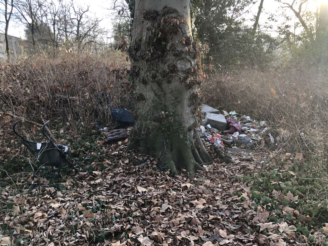 Bild zu gemeldetem Anliegen vom *2026-01-11 21:34:09