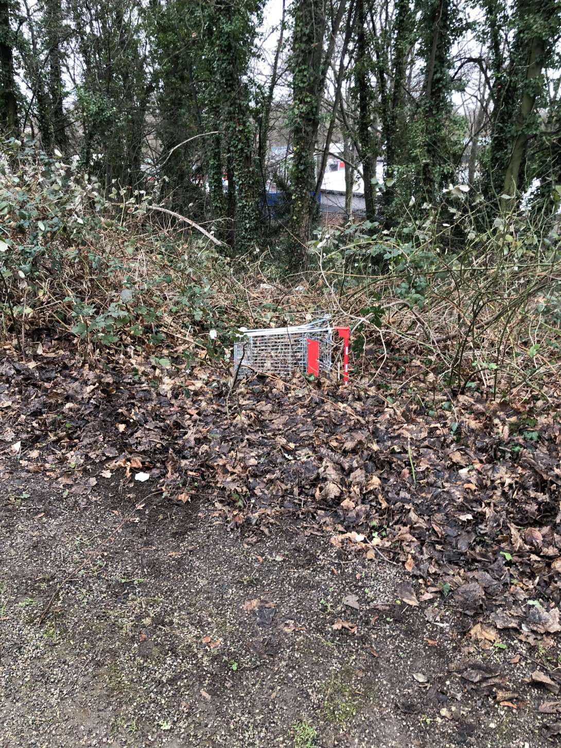 Bild zu gemeldetem Anliegen vom *2026-01-11 23:30:28