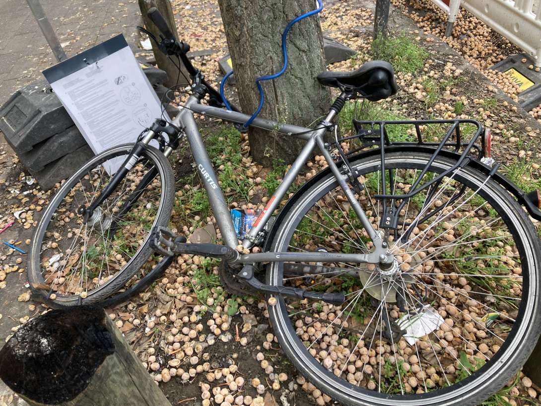 Bild zu gemeldetem Anliegen vom *2026-01-16 11:15:10