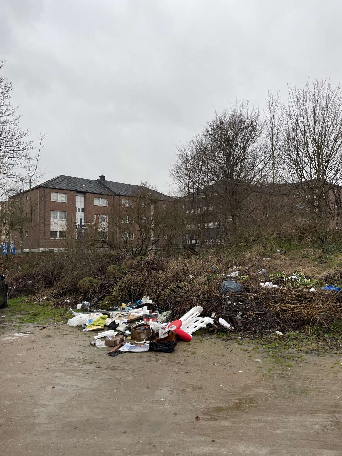 Bild zu gemeldetem Anliegen vom *2026-01-12 09:09:38