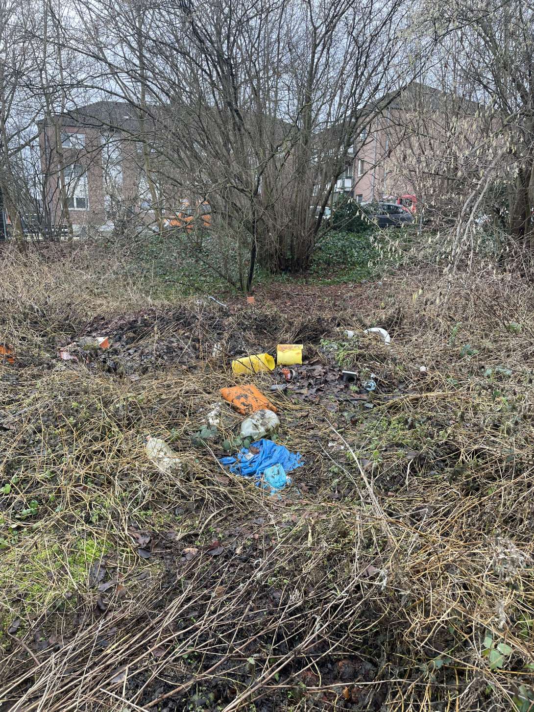 Bild zu gemeldetem Anliegen vom *2026-01-14 09:49:27