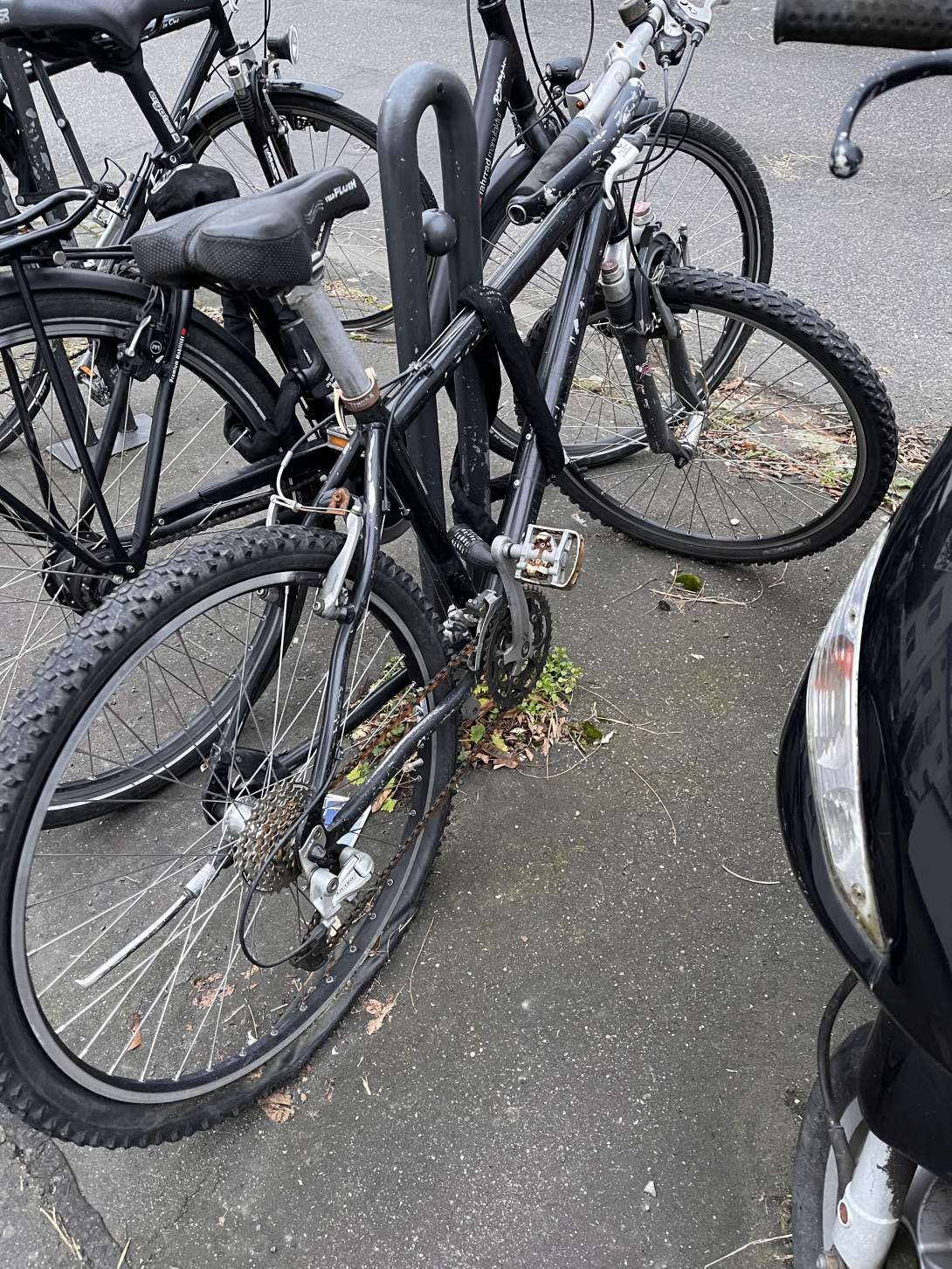 Bild zu gemeldetem Anliegen vom *2026-01-19 06:27:53