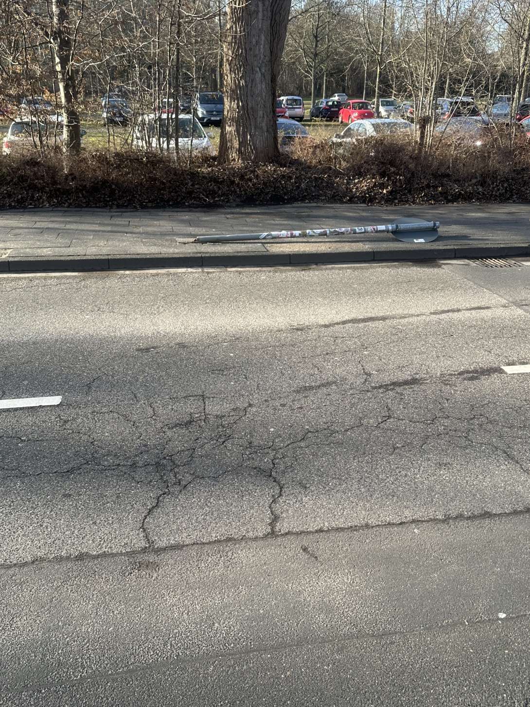 Bild zu gemeldetem Anliegen vom *2026-01-17 12:33:37