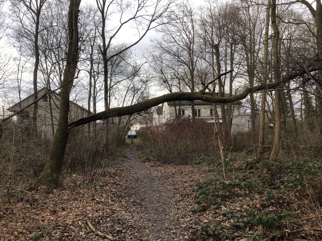 Bild zu gemeldetem Anliegen vom *2026-01-02 15:01:58