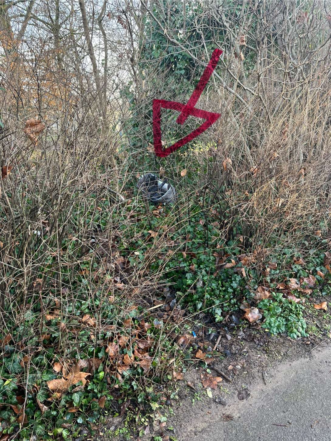 Bild zu gemeldetem Anliegen vom *2026-01-17 09:32:03