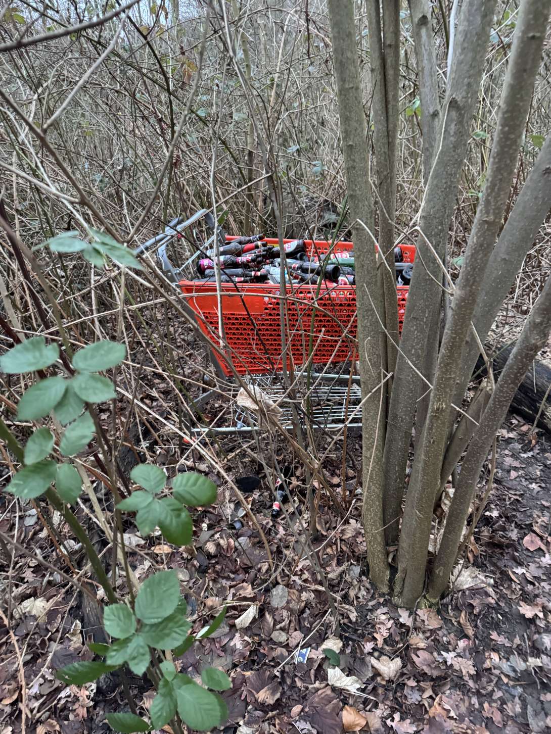 Bild zu gemeldetem Anliegen vom *2026-01-18 15:32:43