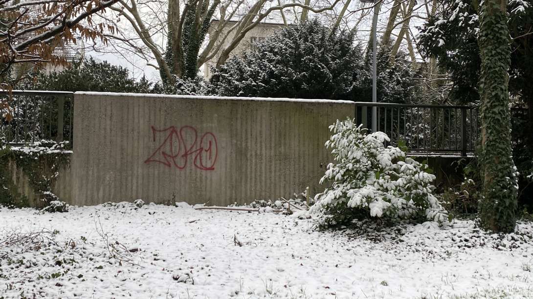 Bild zu gemeldetem Anliegen vom *2026-01-06 13:05:10