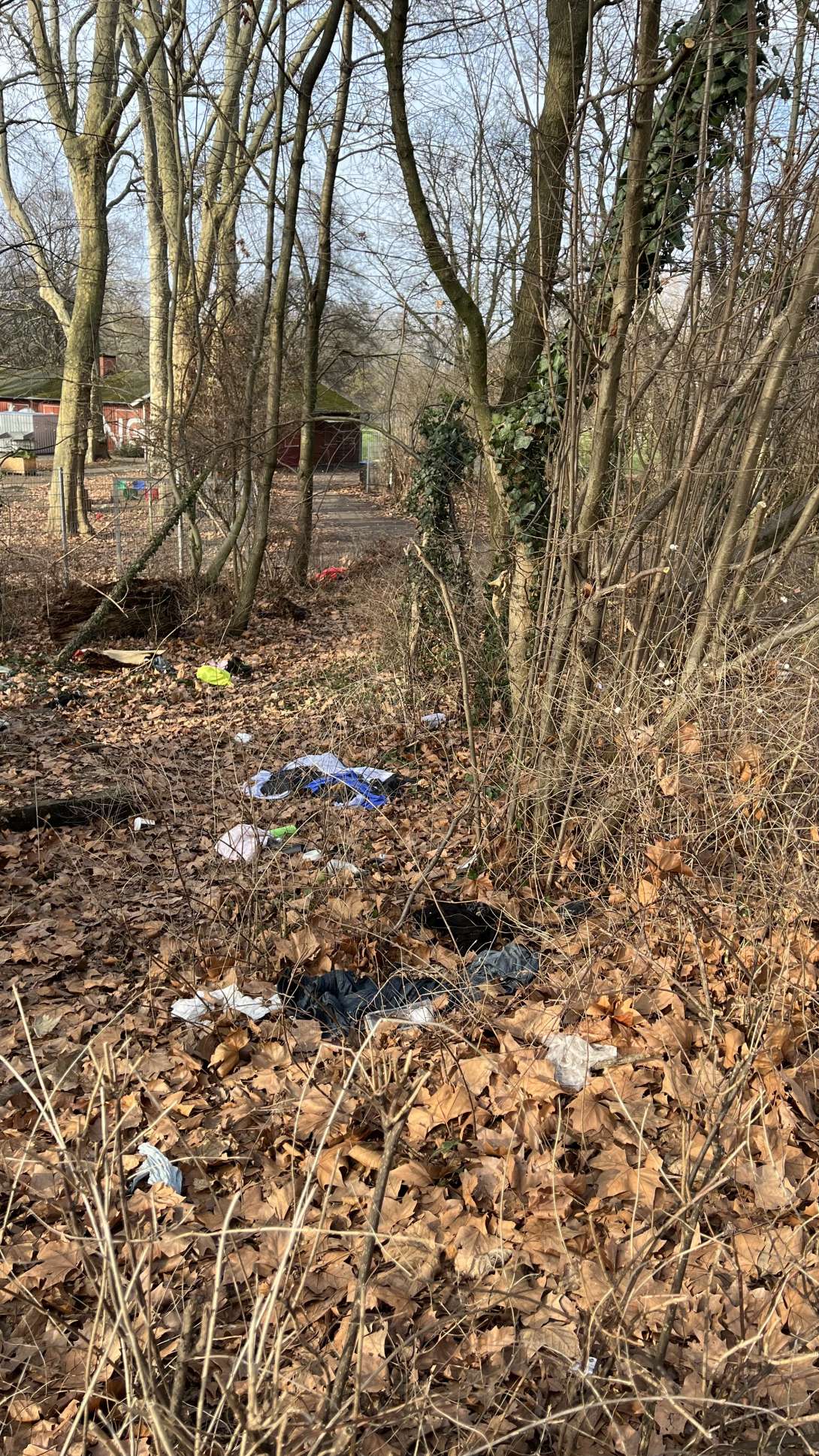 Bild zu gemeldetem Anliegen vom *2026-01-19 15:28:47