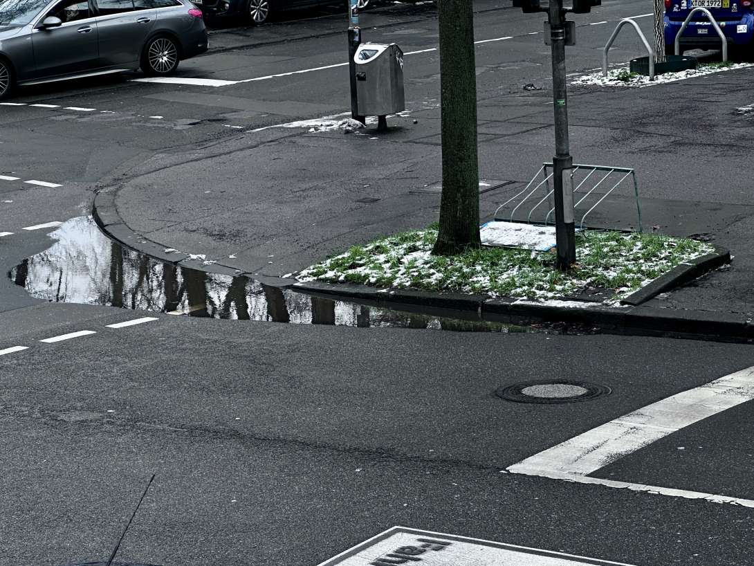 Bild zu gemeldetem Anliegen vom *2026-01-12 11:54:36