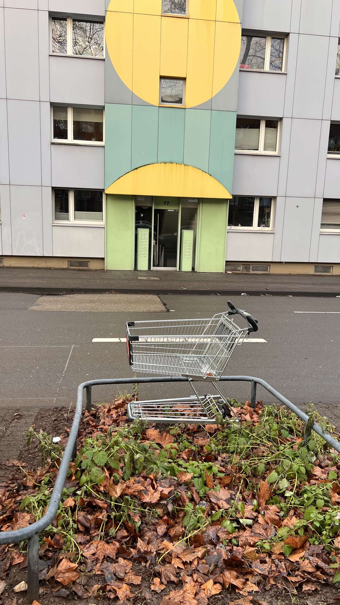 Bild zu gemeldetem Anliegen vom *2026-01-20 18:39:46