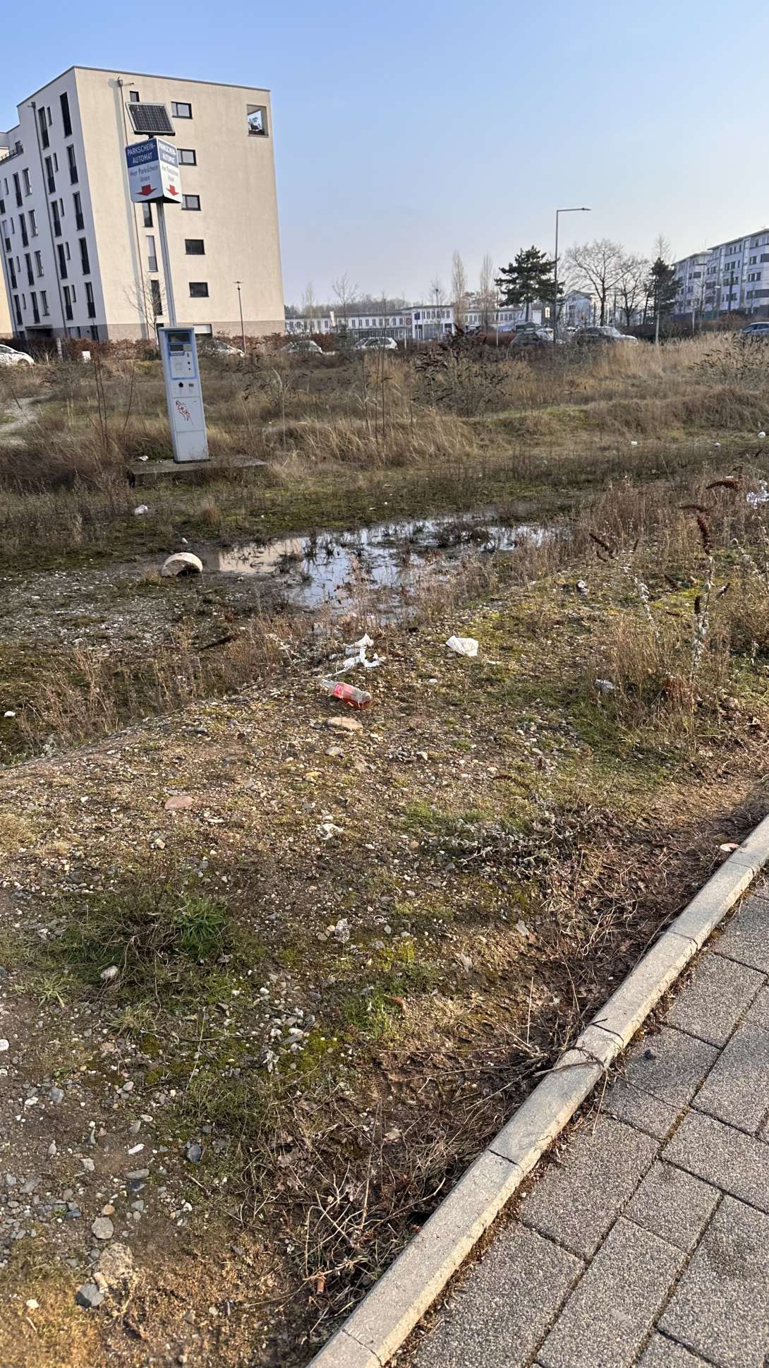 Bild zu gemeldetem Anliegen vom *2026-01-20 14:59:41