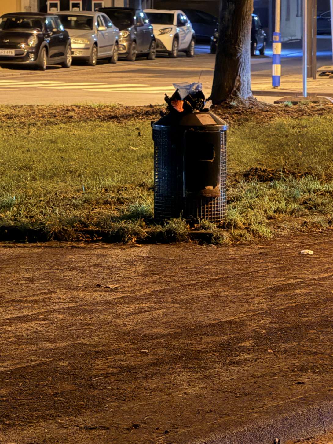 Bild zu gemeldetem Anliegen vom *2026-01-20 21:31:49