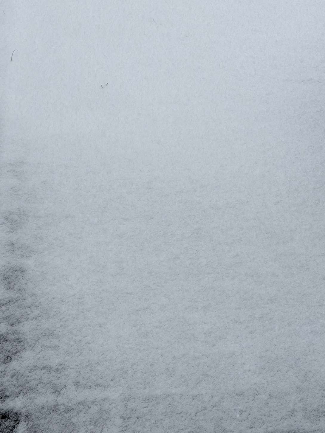 Bild zu gemeldetem Anliegen vom *2026-01-07 14:34:19