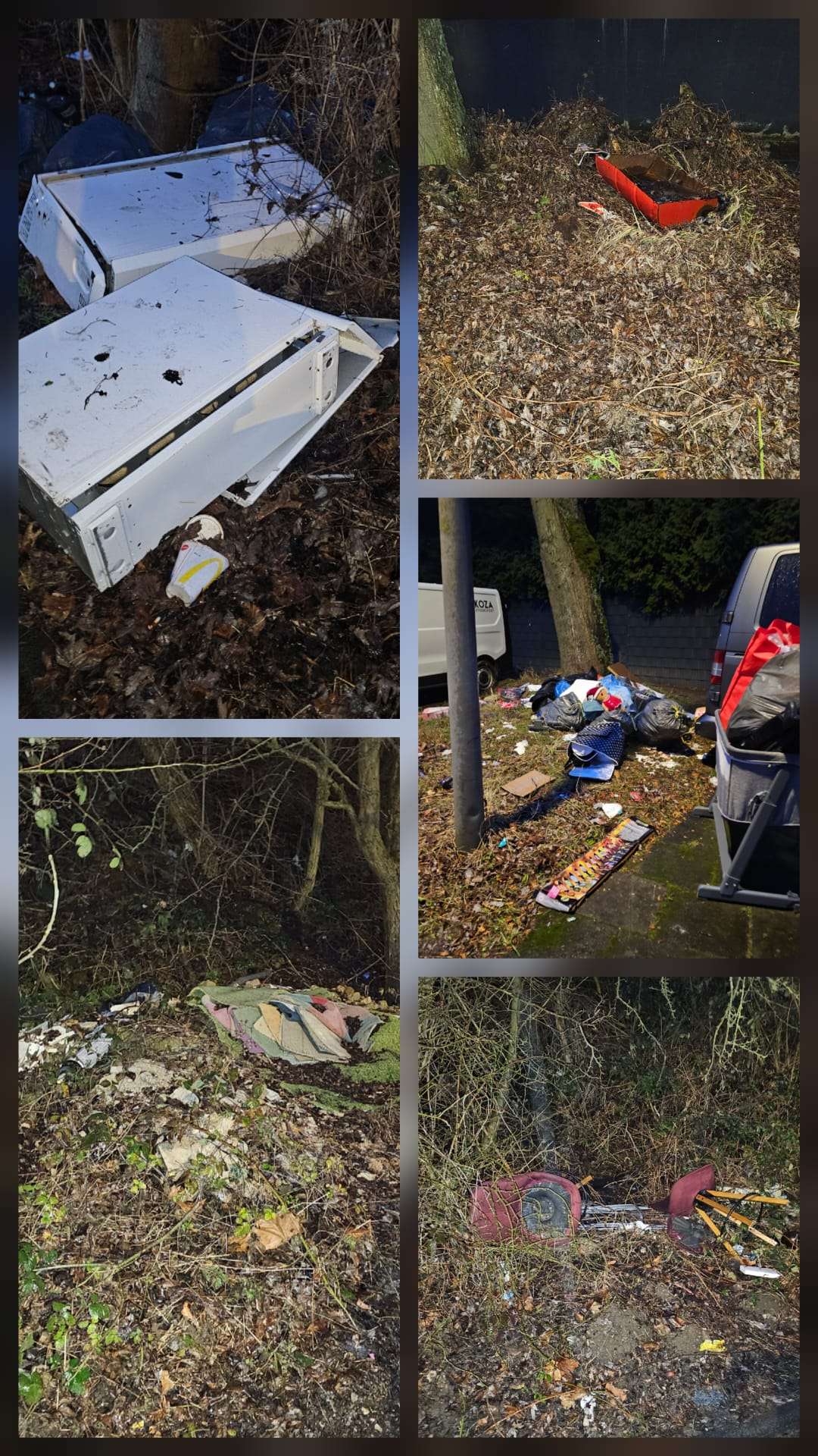 Bild zu gemeldetem Anliegen vom *2026-01-14 10:23:58