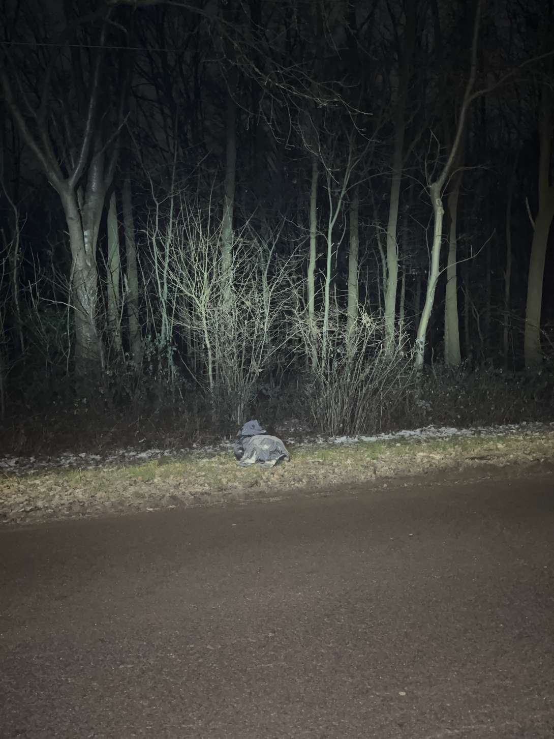 Bild zu gemeldetem Anliegen vom *2026-01-05 07:05:04