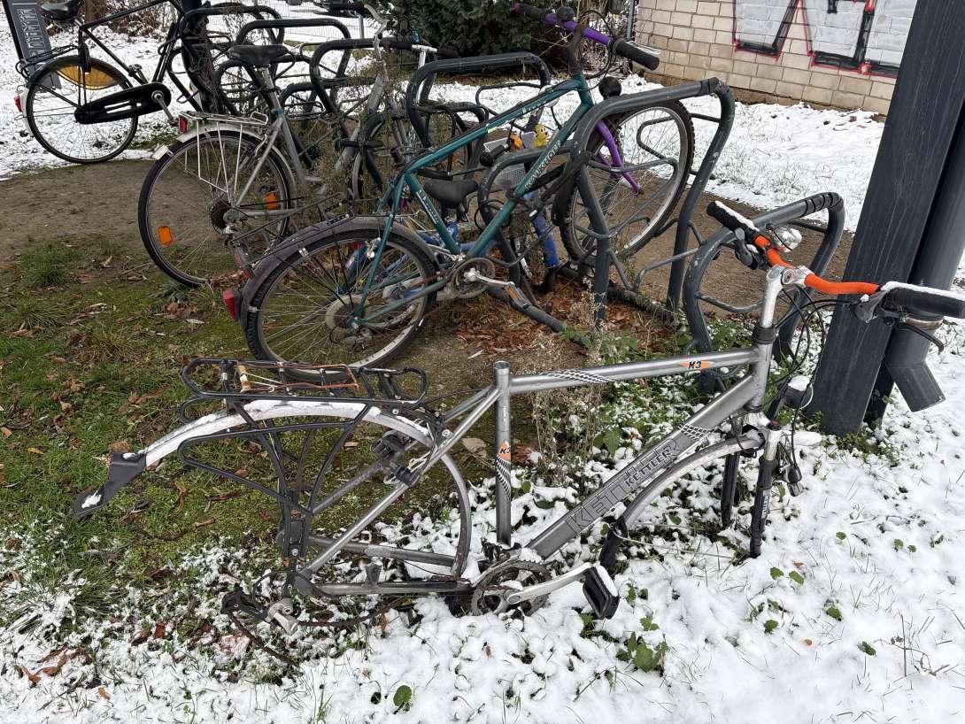 Bild zu gemeldetem Anliegen vom *2026-01-06 12:02:35