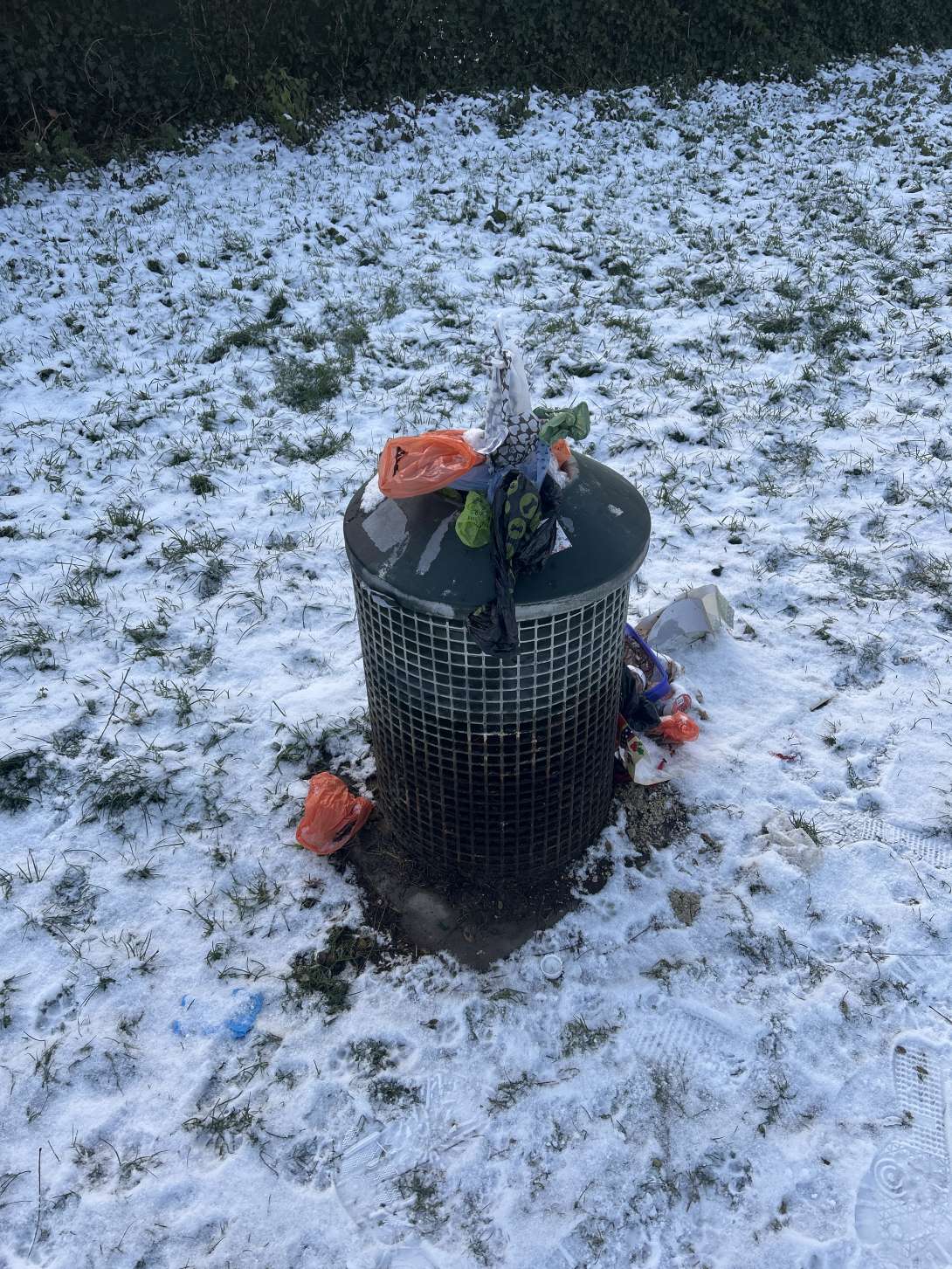 Bild zu gemeldetem Anliegen vom *2026-01-08 09:14:20