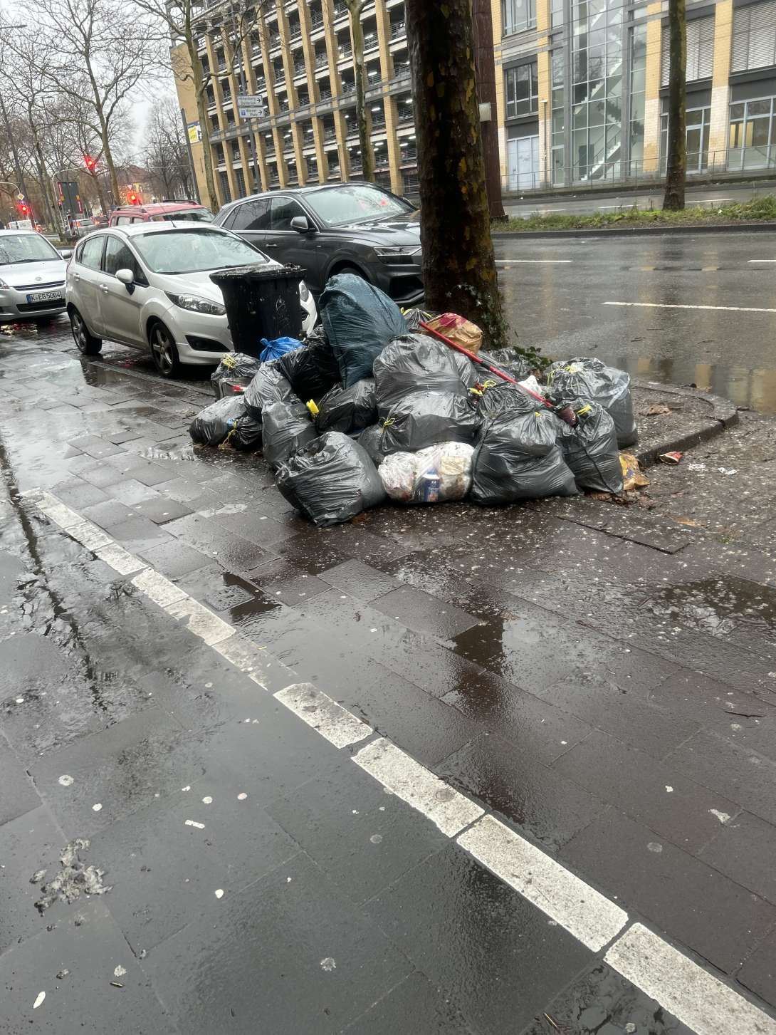 Bild zu gemeldetem Anliegen vom *2026-01-12 16:08:53