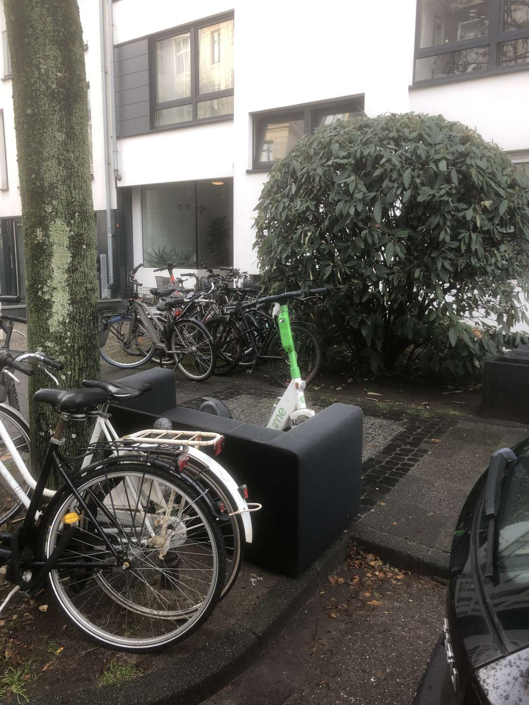 Bild zu gemeldetem Anliegen vom *2026-01-13 13:36:29