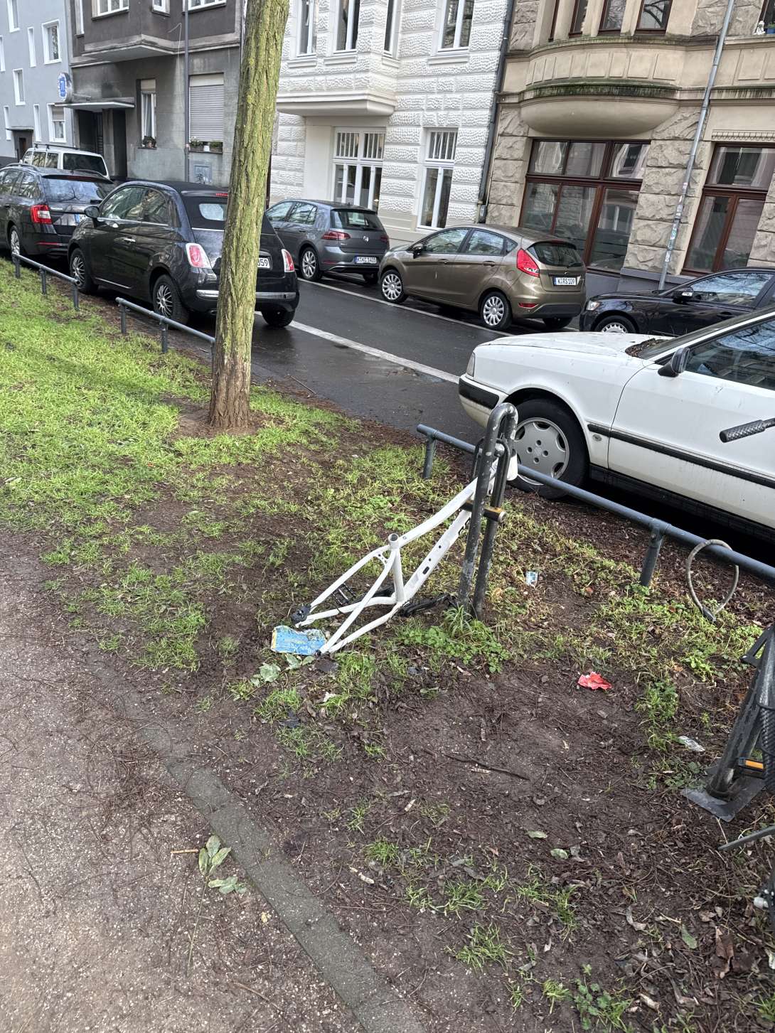 Bild zu gemeldetem Anliegen vom *2026-01-13 09:34:50