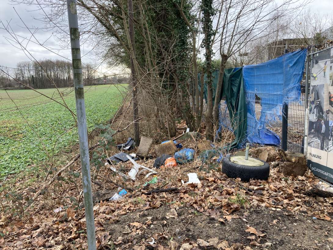 Bild zu gemeldetem Anliegen vom *2026-01-15 12:50:33