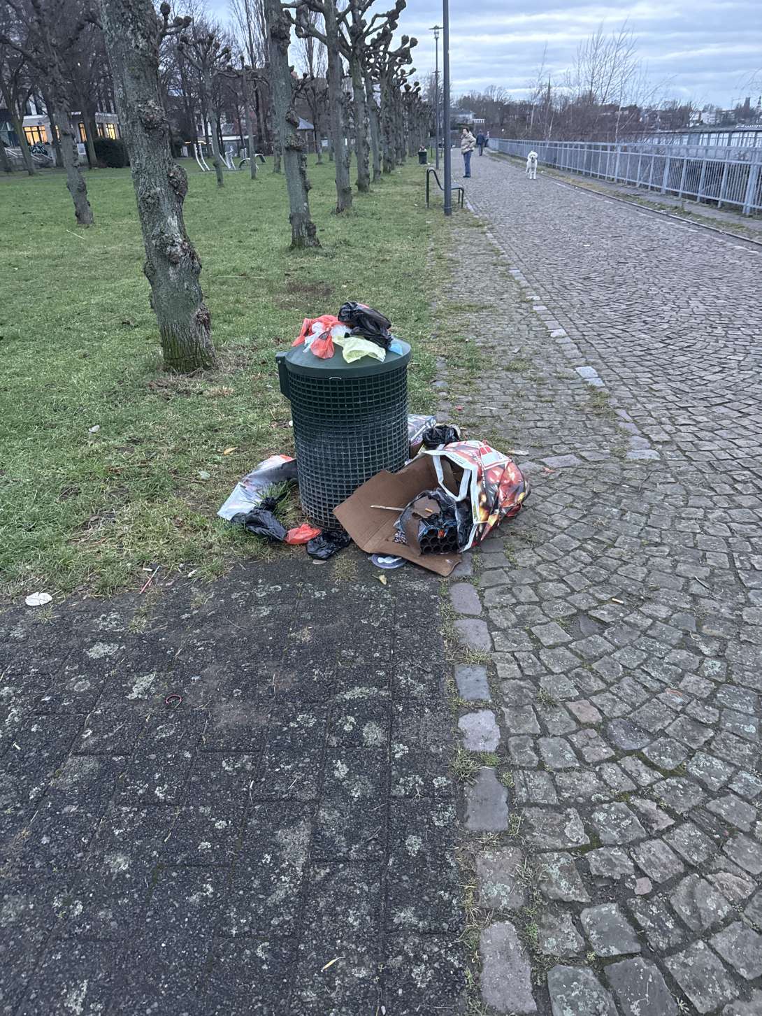 Bild zu gemeldetem Anliegen vom *2026-01-15 15:27:08