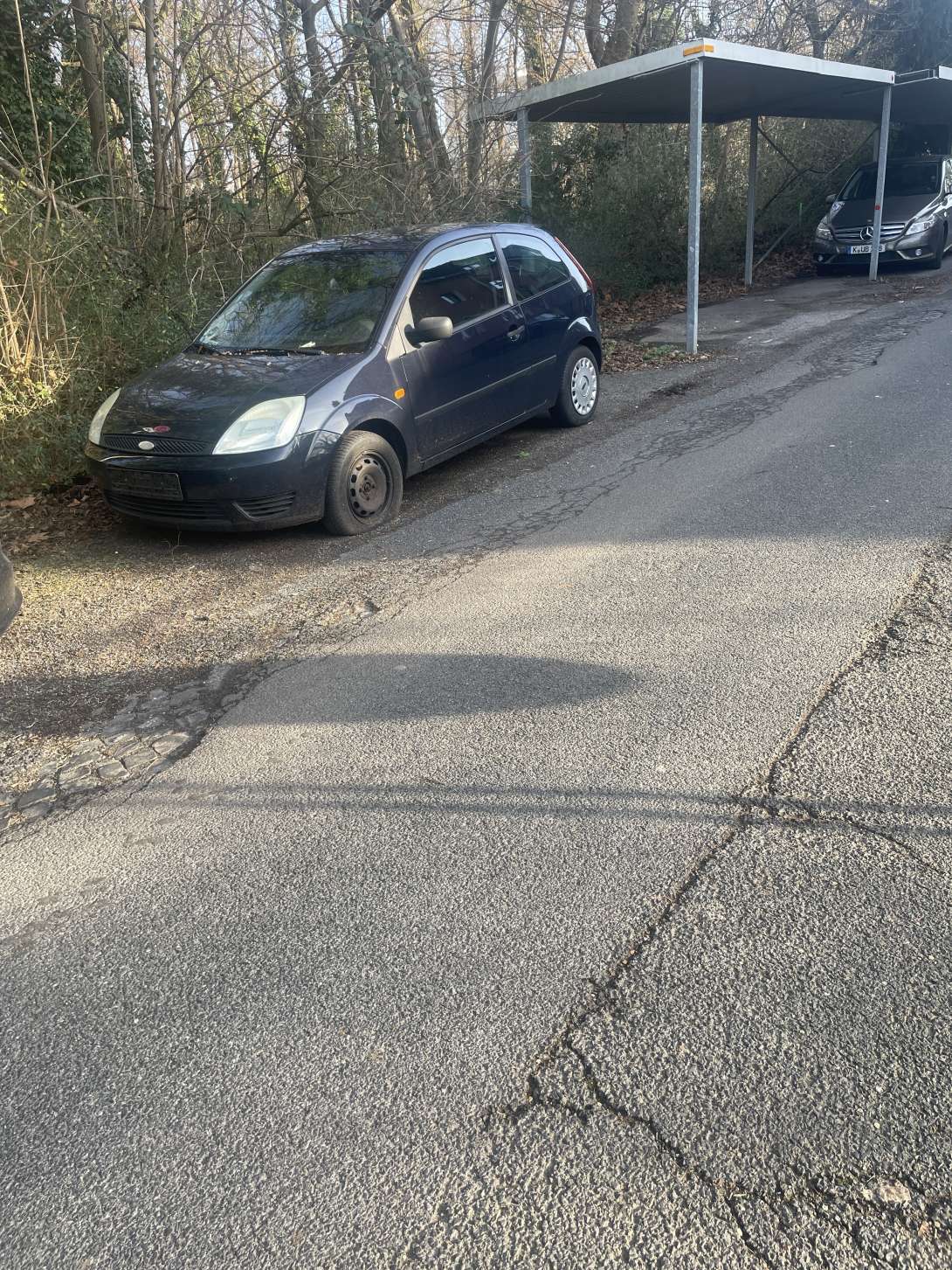 Bild zu gemeldetem Anliegen vom *2026-01-20 09:29:17