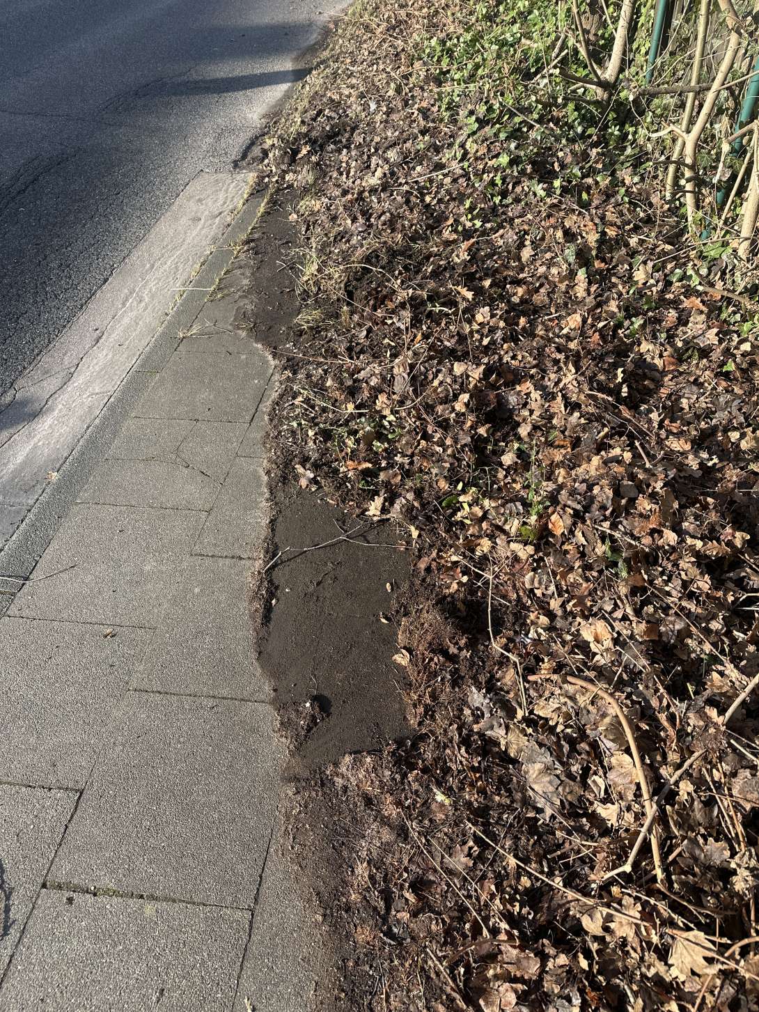 Bild zu gemeldetem Anliegen vom *2026-01-20 13:42:06