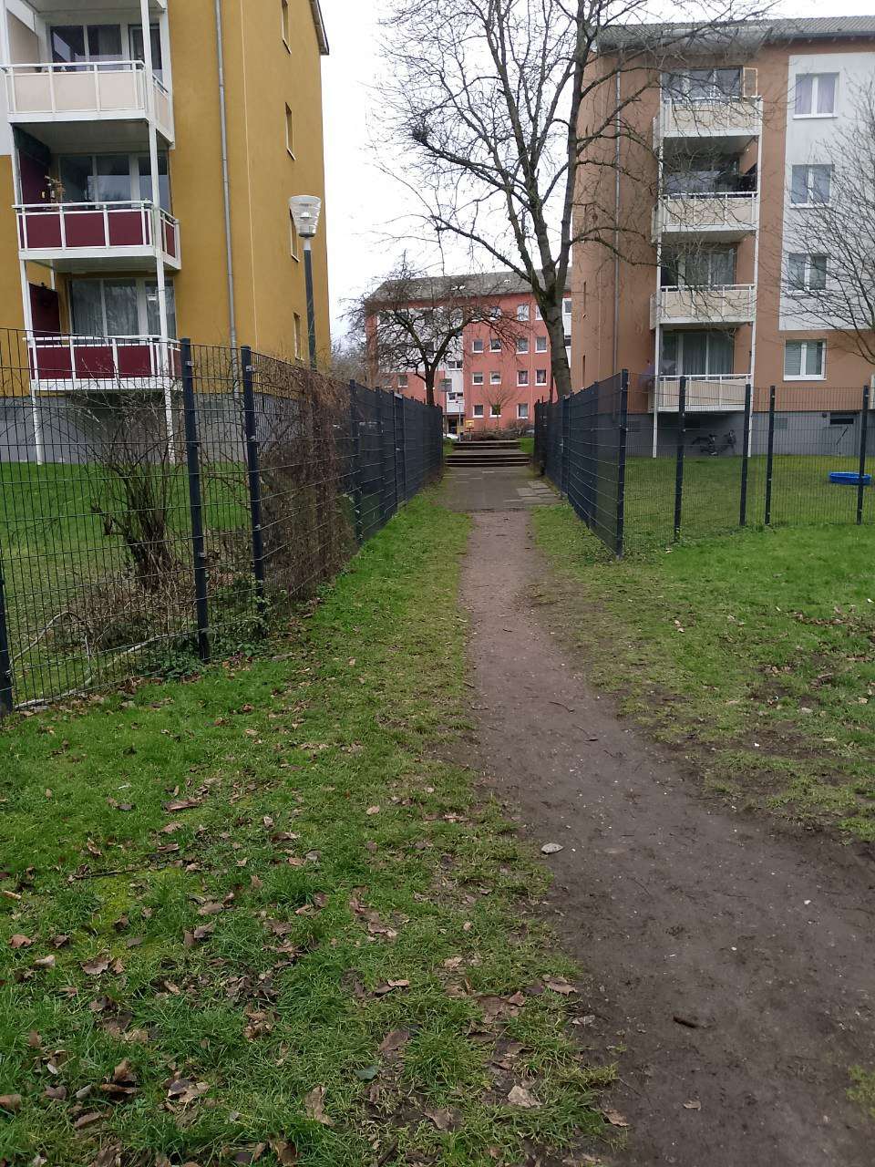 Bild zu gemeldetem Anliegen vom *2026-01-15 15:03:24