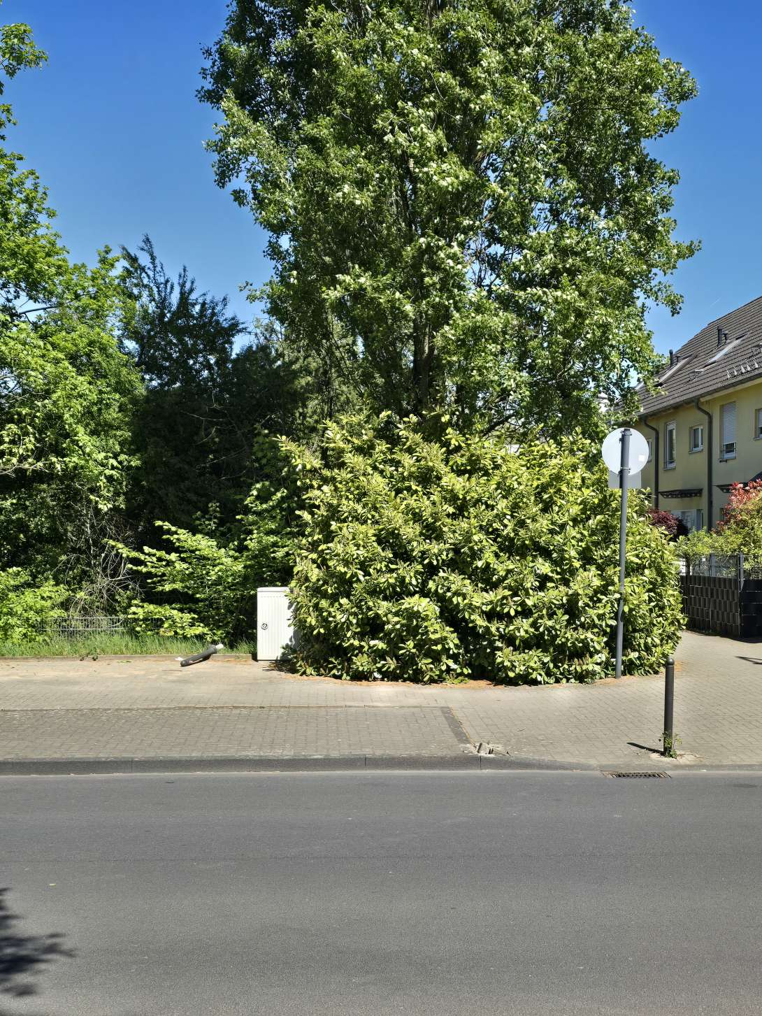 Bild zu gemeldetem Anliegen vom *2026-05-01 12:27:13