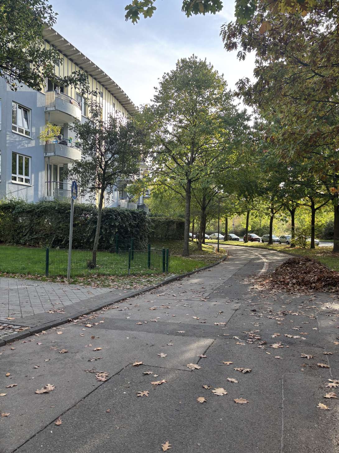 Bild zu gemeldetem Anliegen vom *2026-10-14 15:27:19