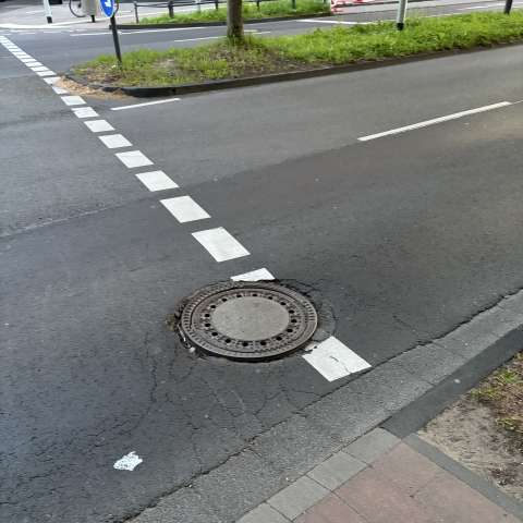 Bild zu gemeldetem Anliegen vom *2025-05-12 21:29:25