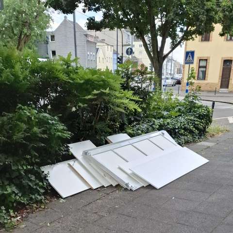 Bild zu gemeldetem Anliegen vom *2025-06-29 21:28:08