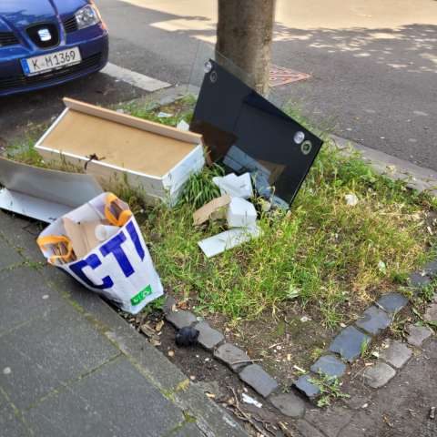 Bild zu gemeldetem Anliegen vom *2025-06-12 22:47:49