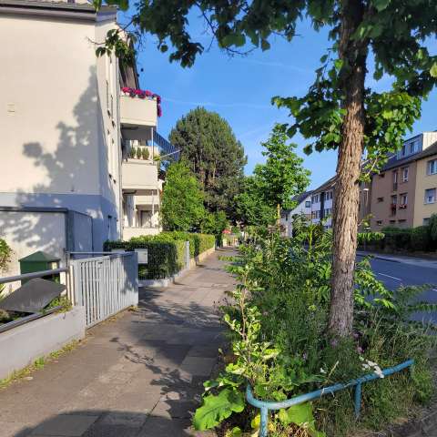 Bild zu gemeldetem Anliegen vom *2025-06-12 21:29:02