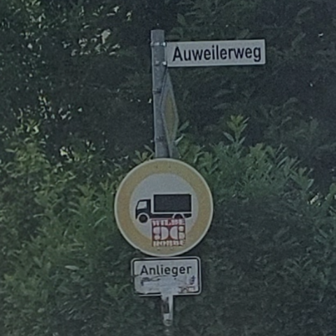 Bild zu gemeldetem Anliegen vom *2025-06-13 00:45:43