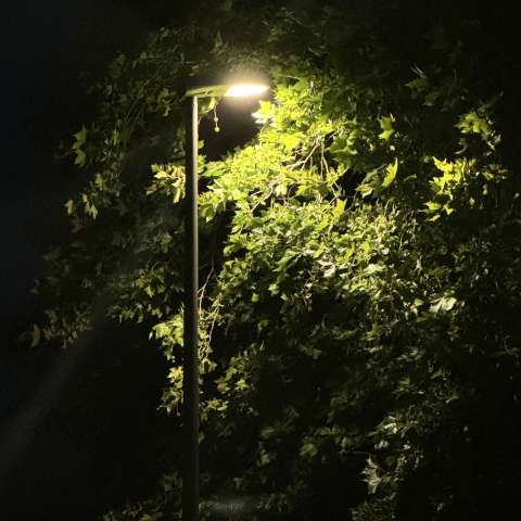 Bild zu gemeldetem Anliegen vom *2025-07-18 21:29:38