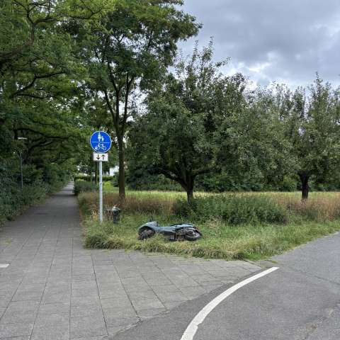 Bild zu gemeldetem Anliegen vom *2025-07-08 10:28:14
