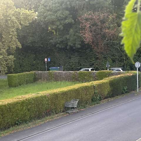 Bild zu gemeldetem Anliegen vom *2025-07-13 00:33:33