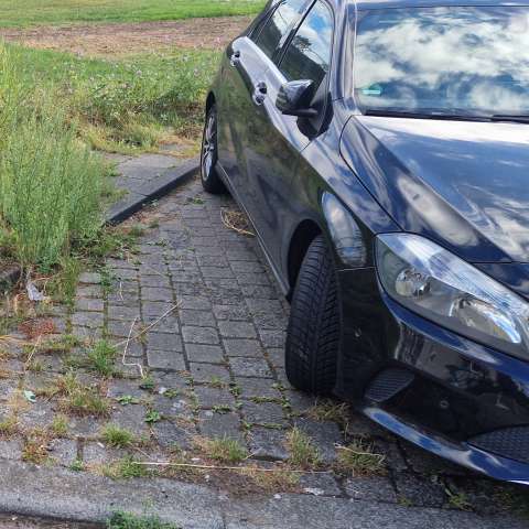 Bild zu gemeldetem Anliegen vom *2025-09-18 22:52:04
