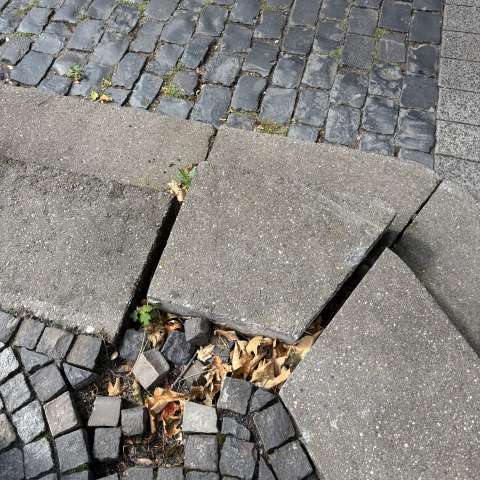 Bild zu gemeldetem Anliegen vom *2025-09-02 18:29:11