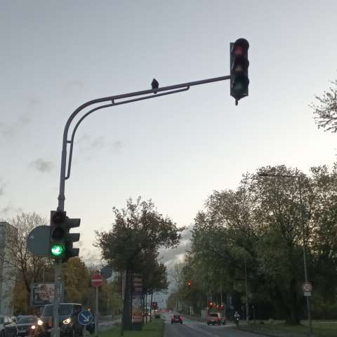 Bild zu gemeldetem Anliegen vom *2025-10-30 18:28:13