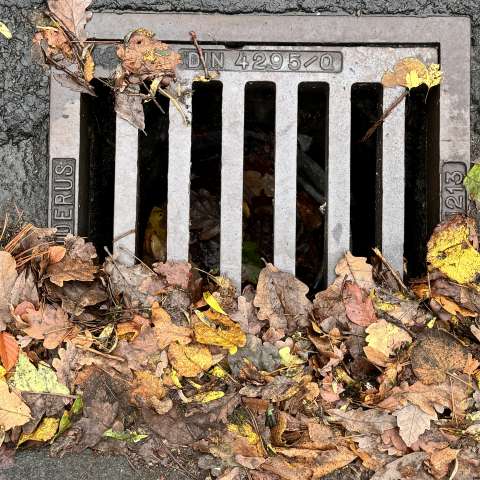 Bild zu gemeldetem Anliegen vom *2025-10-31 06:18:41